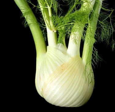 a fennel fennel fennel fennel fennel fennel fennel fen