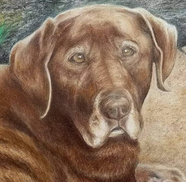 Untitled, colored pencil on 9x12 paper, Laura Roy artist, 2017