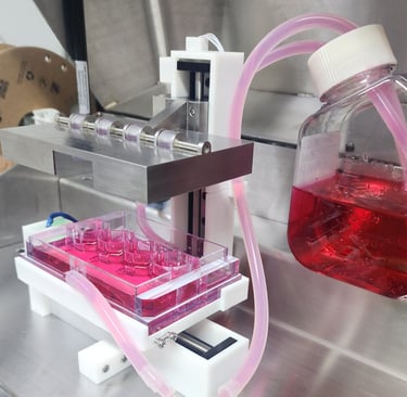 bioreactor, compression bioreactor, biomimetics