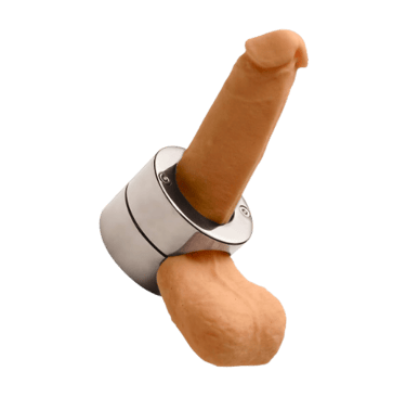a fake penis and balls restrained in a metal ring system