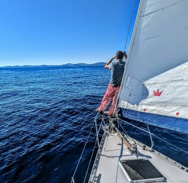 Alla ricerca di belle fuste