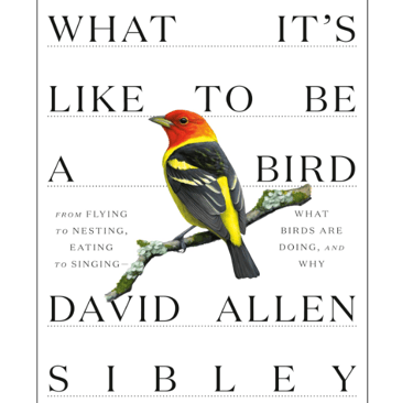 Bird Book