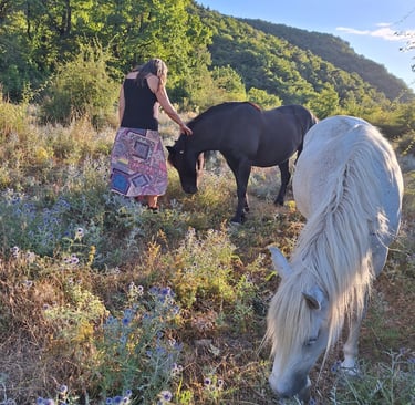 A woman standing in a mountain landscape in the south of france with peacefully grazing horses