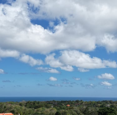 Bali land zoning explained for investors showing residential, tourism and protected zones