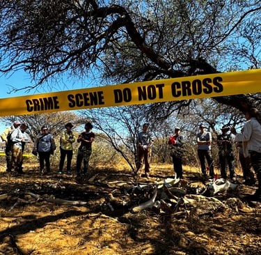 students learning about how to examine a wildlife crime scene