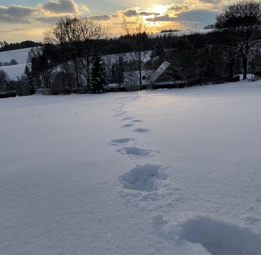 footprints prints of footprints in the snow