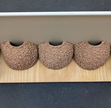 triple-house-martin-nest-cup-with-upvc-false-eaves--by-nest-cup-box