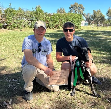 taller de cachorros certificados por un profesional