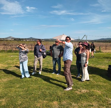Guia de turistas dando explicacion en viñedo