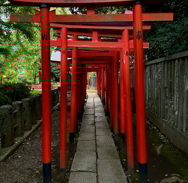 Tunnel de torii au sanctuaire Nezu-jinja à Tokyo