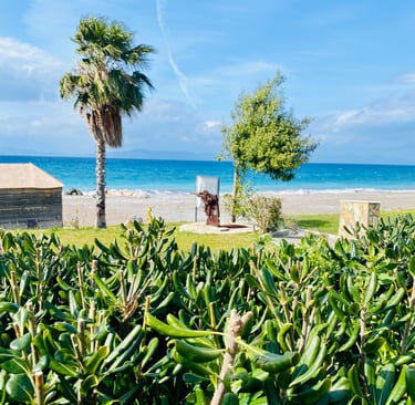 Tropical beach landscape with green shrubs, palm trees, and a historic cannon overlooking the blue sea.