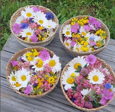 Fleurs locales