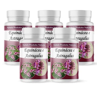 Equinácea e Astragalus: Para Que Servem