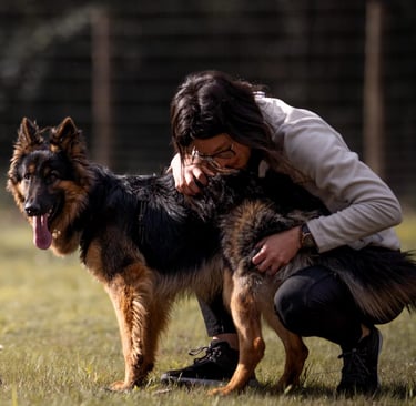 séance d’ecole du chiot en petit groupe chez activ canin à mérignac