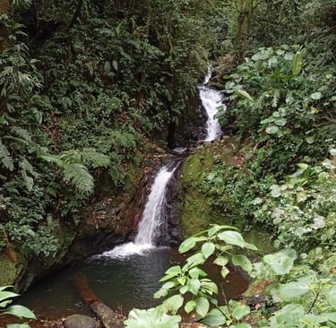 Consigli di viaggi oin Costa Rica - cascata a Monteverde