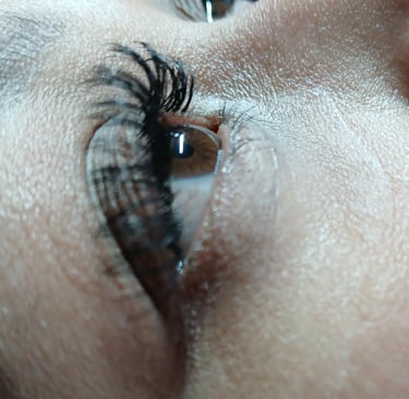 Close-up side profile of professional eyelash extensions on a woman's eye with black lashes.