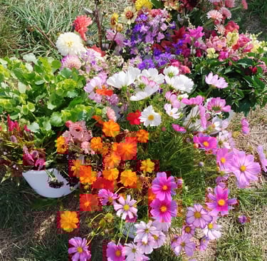 seaux de fleurs fraîches été jardins d'adonis
