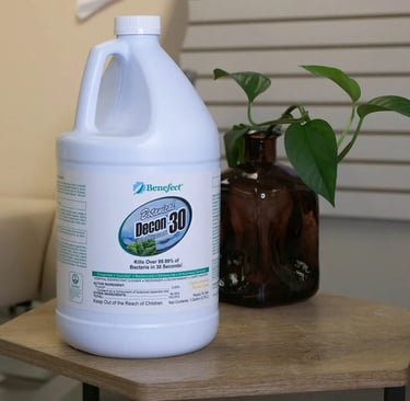 Eco-Friendly Cleaning Services Toronto
