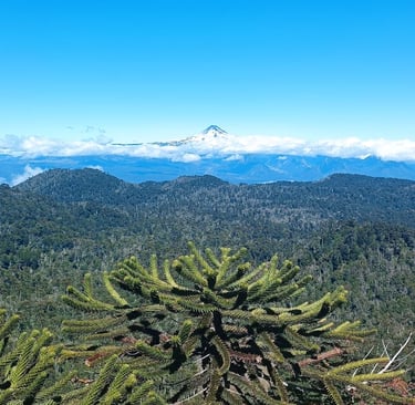 Cosa vedere a Pucon
