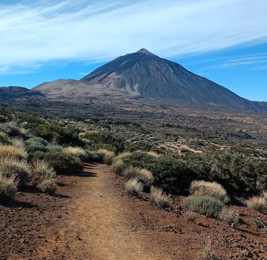 Parco Nazionale del Teide a Tenerife