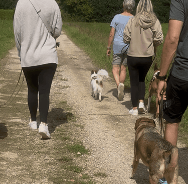 Social Walk Frickenhausen