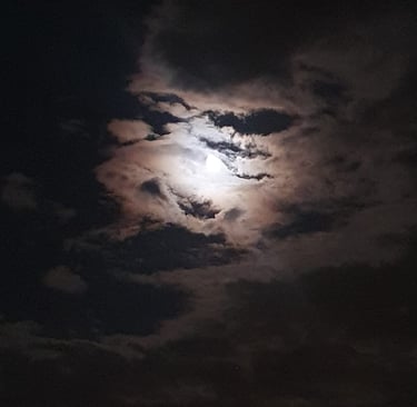 a moon light over Lake Köyceğiz