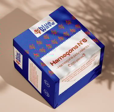 Packaging Blue wave par Soleado studi