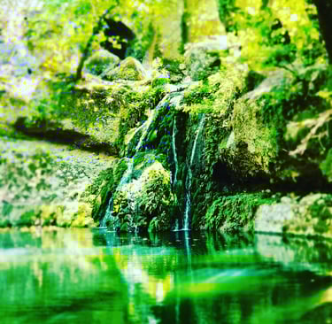 Serene small waterfall flowing over mossy rocks into a calm green pond surrounded by lush forest.