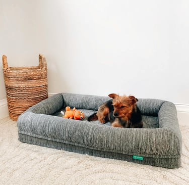 Cama de cachorro