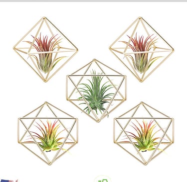 Tillandsia Air Plant Holder Modern Geometric Metal Hanger Decor