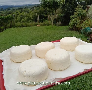 qué lugares conocer en pereira