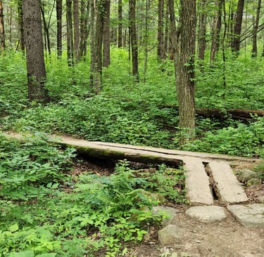 a wooden bridge over a small bridge in the woods
