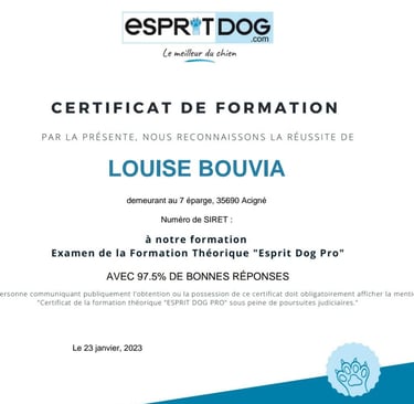Certificat de formation théorique Esprit Dog Pro