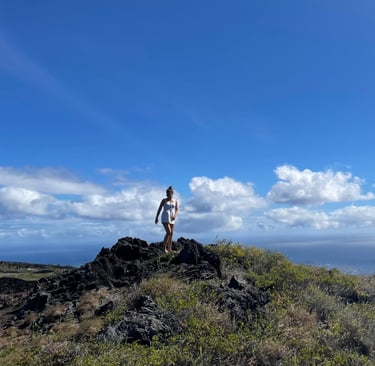 Hawai'i Volcano National Park