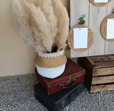 panier de pampas