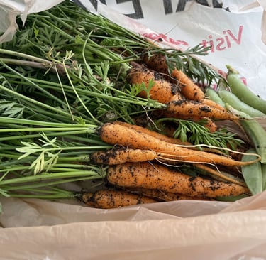 Overcome gardening challenges and grow a bountiful harvest.