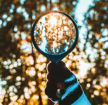 Cómo elegirlo: preguntas, red flags y checklist final