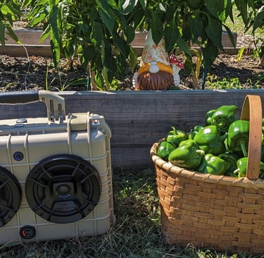 chillantix advernture boombox at the farm with a basket of peppers