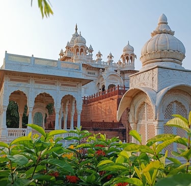 Cenopath a Jodhpur