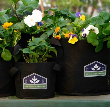 BRAND IMPACT NURSERY