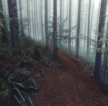 маршрути за планинско колоездене българия начинаещи