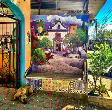 Wander around Ajijic