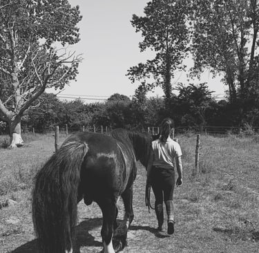équithérapeute qui marche à côté d'un cheval pour une séance d'équithérapie