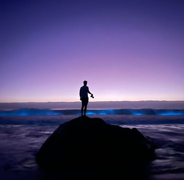 a person standing on a rock in the ocean