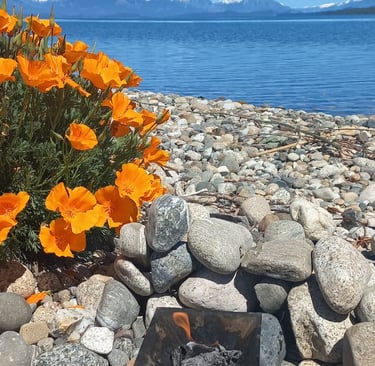 fuego homa frente a lago nahuel huapi bariloche argentina