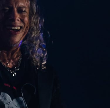 Kirk Hammett with a guitar and a microphone