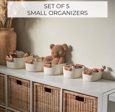 A collection of five small organizers in various colors, designed for efficient storage,organize