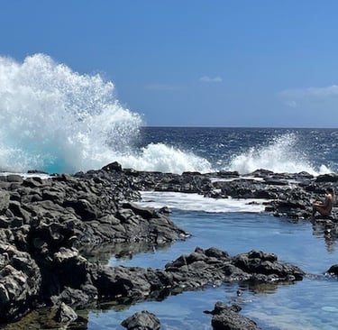 Makapu'u Tide Pools O'ahu Hawai'i