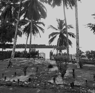 a black and white photo of a beach with palm trees