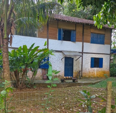 Casa Cura Itacaré Bahia - Terapias, Rituais e medicinas da floresta -Ayahuasca, Rapé, Cacau Medicina